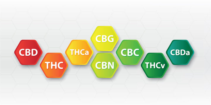 Cannabinoid chart in Ireland and a list of Major Cannabinoids in Ireland’s CBD products