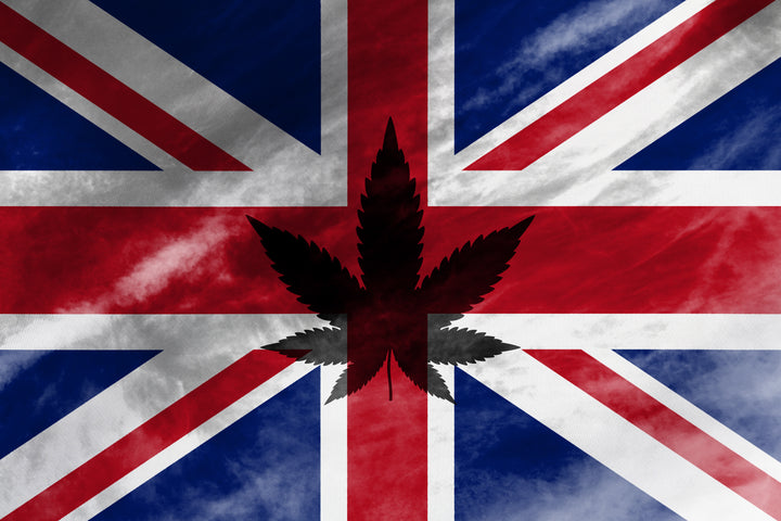 Legality of CBD in Northern Ireland and the UK by Full Circle hemp